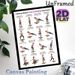 Balance Board Core & Stability Exercises Painting Poster, Clear Cartoon-style Workout Guide Poster, Detailed Core Training Instructions, Ideal For_maomaolike.com