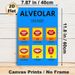 Alveolar Sounds Painting Poster, Bright & Clear Phonetics Chart Poster, Displays Mouth Shapes For English Alveolar Sounds, Helpful For Pronunciation_maomaolike.com
