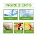 Yegbong Fruit Fly Trap Supplement Set, Fruit Fly Lure Water Physical Trap Fruit Fly Trap Agent_maomaolike.com