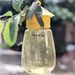 Plastic Drosophila Anti Fruit Killer Catcher Orchard Insect Pest Control Fly Bee Trap_maomaolike.com