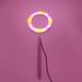 LED Angel Ring Plant Light 6 Inch Full Spectrum Plant Grow Light Indoor Large Pot Plant Fill Light_maomaolike.com