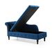 Aijia 60" Velvet Multifunctional Storage Chaise Lounge Buttons Tufted Nailhead Trimmed Solid Wood Legs With 1 Pillow,Blue_maomaolike.com