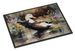 Common Eider Duck Doormat Front Door Mat Indoor Outdoor Rugs For Entryway, Non Slip Washable Low Pile, 24H X 36W_maomaolike.com