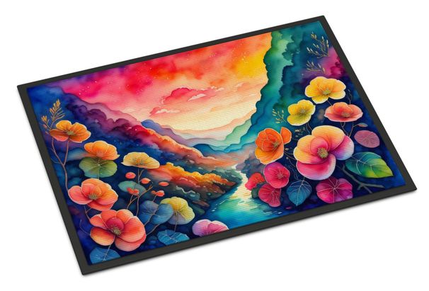 Begonias In Color Doormat Front Door Mat Indoor Outdoor Rugs For Entryway, Non Slip Washable Low Pile, 24H X 36W_maomaolike.com