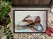 Tap Doses Shoes Doormat Front Door Mat Indoor Outdoor Rugs For Entryway, Non Slip Washable Low Pile, 24H X 36W_maomaolike.com