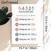 5-4-3-2-1 Grounding Painting Poster, Minimalist Neutral-toned Typographic Poster, Practical Emotional Regulation Guide Suitable For Office, Therapy_maomaolike.com