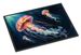 Deep-Sea Jellyfish Doormat Front Door Mat Indoor Outdoor Rugs For Entryway, Non Slip Washable Low Pile, 24H X 36W_maomaolike.com