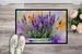 Lavender In Watercolor Doormat Front Door Mat Indoor Outdoor Rugs For Entryway, Non Slip Washable Low Pile, 24H X 36W_maomaolike.com
