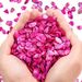 Small Natural Crushed Shells For Crafts About 2LB 900g 31.74oz DIY Beaching Wedding Decoration Vase Fillers_maomaolike.com