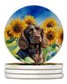 Boykin Spaniel In Sunflowers Large Sandstone Coasters Pack Of 4 Absorbent Round Coasters Decor Gifts For Men Or Women, 4 In, Multicolor_maomaolike.com