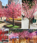 Peach Tree Plum Blossom Fake Branch Wedding Decoration Flower Artificial Plant Outdoor Garden Landscape_maomaolike.com