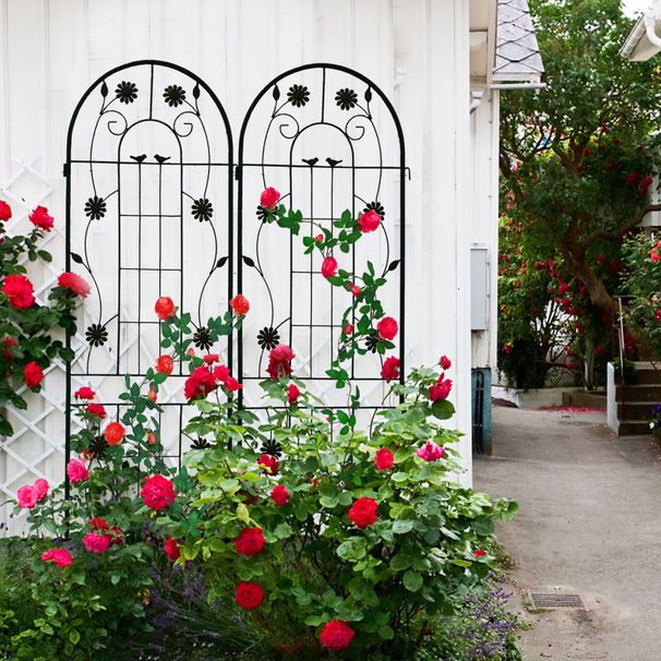 2 Pack Metal Garden Trellis 71" X 19.7" Rustproof Trellis For Climbing Plants Outdoor Flower Support_maomaolike.com