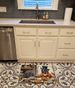 French Bulldog Fall Kitchen Pumpkins Memory Foam Kitchen Mat Machine Washable Anti-Fatigue Mat Cushion Comfort Bath Mat Or Kitchen Rug_maomaolike.com