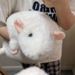 1Pcs Realistic Fancy Rat Plush Stuffed Animal Doll Cute Funny Soft Pillow For Girls Birthday Gift 35/50/90cm Mouse Toy_maomaolike.com