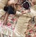 Wholesale INS French Floral Sateen Brushed Four-Piece Princess Style Pleated Lace Bed Skirt Pure Cotton 4-Piece Set_maomaolike.com
