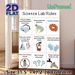 Science Lab Rules Painting Poster, Clear Cartoon-style Lab Safety Guidelines Poster, Conveys Essential Lab Safety Regulations, Ideal For Science_maomaolike.com