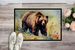 Grizzly Bear Doormat Front Door Mat Indoor Outdoor Rugs For Entryway, Non Slip Washable Low Pile, 24H X 36W_maomaolike.com