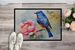Bluebird Doormat Front Door Mat Indoor Outdoor Rugs For Entryway, Non Slip Washable Low Pile, 24H X 36W_maomaolike.com