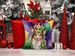 Sheltie King Of Mardi Gras Throw Pillow Machine Washable, Indoor Outdoor Decorative Pillow For Couch, Bed Or Patio, 14Hx14W_maomaolike.com