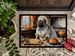 Shar Pei Fall Kitchen Pumpkins Doormat Front Door Mat Indoor Outdoor Rugs For Entryway, Non Slip Washable Low Pile, 24H X 36W_maomaolike.com