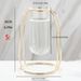Glass Tube Vase Hydroponics Planter With Metal Frame Creative Flower Planter For Home Office Decor For Tulips Roses And Branches Unique Present Idea_maomaolike.com