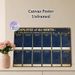 Employee Of The Month Painting Poster, Vintage Dark Blue With Gold Accents Poster, Designed To Recognize Monthly Outstanding Staff, Suitable For_maomaolike.com