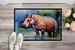 Hippopotamus Doormat Front Door Mat Indoor Outdoor Rugs For Entryway, Non Slip Washable Low Pile, 24H X 36W_maomaolike.com
