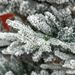 8 Foot Pine Snow Flocked Artificial Christmas Tree With 1479 Realistic Cedar Branches, Auto Open, Home Holiday Decoration, Green_maomaolike.com