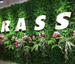 Artificial Lawn Faux Green Plant Background Wall Decoration Indoor Outdoor Plastic Fake Flower Shop Sign_maomaolike.com