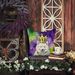 Samoyed King Of Mardi Gras Throw Pillow Machine Washable, Indoor Outdoor Decorative Pillow For Couch, Bed Or Patio, 14Hx14W_maomaolike.com