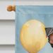 Schnauzer Happy Birthday House Flag Large Porch Sleeve Pole Decorative Outside Yard Banner Artwork Wall Hanging, Polyester, House Size, Multicolor_maomaolike.com