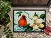 Cardinal Aqua Doormat Front Door Mat Indoor Outdoor Rugs For Entryway, Non Slip Washable Low Pile, 24H X 36W_maomaolike.com
