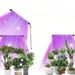 Ground Mounted Plant Growth Lamp LED Full Spectrum Succulent Green Plant Seedling Plant Lamp Fill Light Manufacturer_maomaolike.com