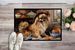 Tibetan Spaniel Fall Kitchen Pumpkins Doormat Front Door Mat Indoor Outdoor Rugs For Entryway, Non Slip Washable Low Pile, 24H X 36W_maomaolike.com