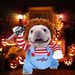 Dog Halloween Costumes - Chucky Dog Costume With Knife For Pets Party Christmas Cosplay Cute Outfits Clothes Deadly Dog Clothes Funny Dog Costumes Halloween For Small Medium Large Dogs_maomaolike.com