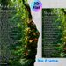 Desiderata Poem Painting Poster, Lush Tropical Floral Jungle Poster, Inspirational Reflective Verse For Calming Atmosphere, Ideal For Home, Office Or_maomaolike.com