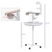 PawHut Bird Stand, Parrot Stand With Wheels, Perches, Stainless Steel Feed Bowls, Round Tray, Bird Play Stand For Indoor Outdoor, White_maomaolike.com