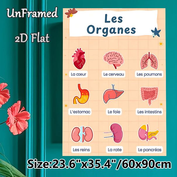Human Organs Painting Poster, Vibrant Cartoon-style Organs With French Naming Labels Poster, Educational Visual Aid For Anatomy Learning, Suitable For_maomaolike.com