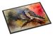 Northern Hawk Owl Doormat Front Door Mat Indoor Outdoor Rugs For Entryway, Non Slip Washable Low Pile, 24H X 36W_maomaolike.com