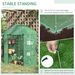 56" X 29" X 77" Walk-in Greenhouse, Garden Hot House With 3 Tier Shleves, Roll-Up Door And PE Cover, Green_maomaolike.com