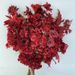 Series Artificial Peony Rose Hotel Path Decoration Plastic Fake Flowers Red Theme Wedding_maomaolike.com