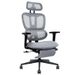Multi-functional Ergonomic Mesh Office Chair With Adjustable Armrest,Footrest,Lumbar Support, 360° Silent Wheels,Headrest For Home & Office_maomaolike.com