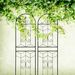 2 Pack Metal Garden Trellis 71" X 19.7" Rustproof Trellis For Climbing Plants Outdoor Flower Support Black_maomaolike.com
