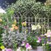 4 Pack Metal Garden Trellis 71" X 19.7" Rustproof Trellis For Climbing Plants Outdoor Flower Support Cream White_maomaolike.com