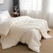 Class A Pure Raw Cotton Soy Protein Fiber Winter Thickened Spring And Autumn Core Zipper Style Two-in-One Mother-Child Quilt_maomaolike.com