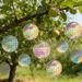 Repellent Reflective Sticker Garden Bird Control Round Pate Tape Anti Pigeon Woodpecker Holographic Adheive Scare_maomaolike.com