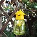 50/1pcs Liquid Fruit Killer Fly Trap Drosophila Attractant Wasp Catcher Outdoor Garden Orchard Insect Pest Control Tools_maomaolike.com