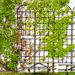 4 Pack Metal Garden Trellis 86.7" X 19.7" Rustproof Trellis For Climbing Plants Outdoor Flower Support_maomaolike.com
