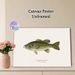 Largemouth Bass Painting Poster, Realistic Natural-toned Fish Illustration Poster, Detailed Educational Artwork Ideal For Fishing Enthusiasts' Living_maomaolike.com