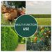PVC Coated Steel Chicken Rabbit Mesh Fencing Wire Garden Galvanized Fence Border_maomaolike.com